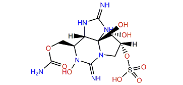 Gonyautoxin 1